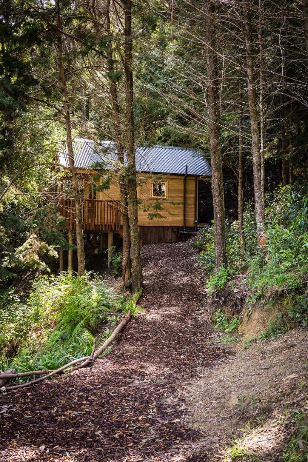 Maitai Whare Iti - Adventure Cabins & House เนลสัน ภายนอก รูปภาพ
